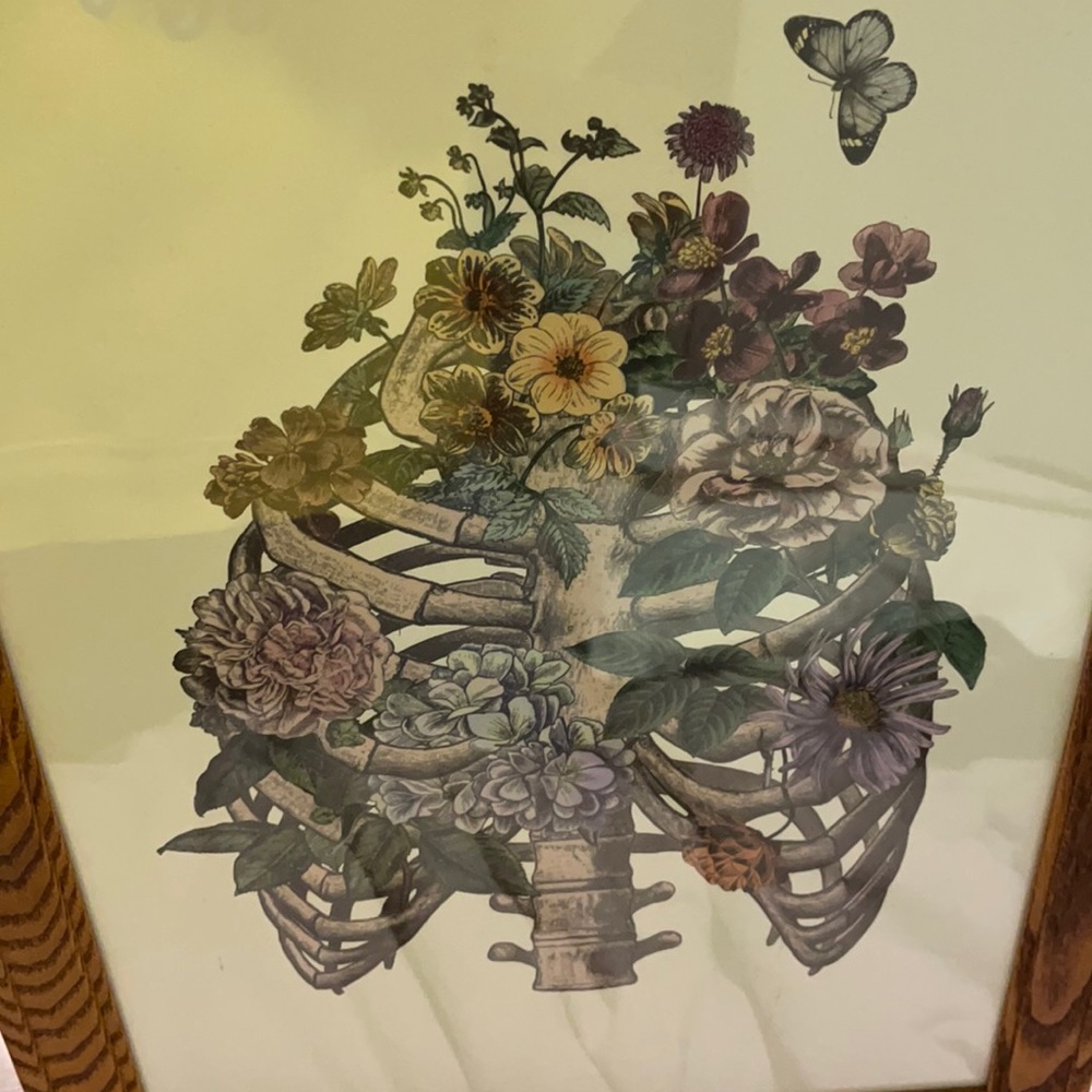 rib cage flower wall art framed - plexi glass
